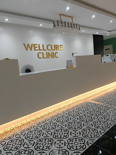 WELLCURE CLINIC 24 HOUR SERI MANJUNG