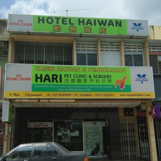 hari klinik haiwan pembedahan