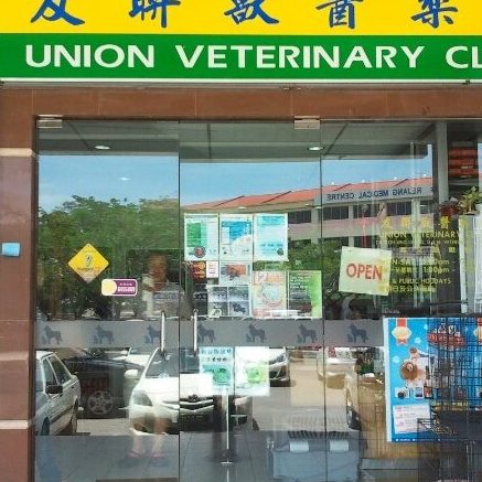 QittunCare Veterinary Clinic 1 qittuncare veterinary clinic